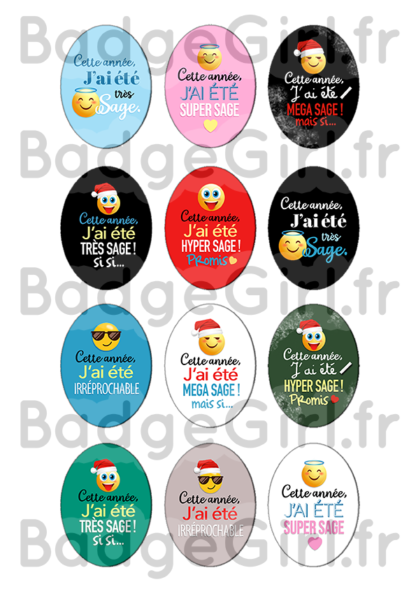 badge image cabochon personnalisé sage emoji emojis rigolo humour noël
