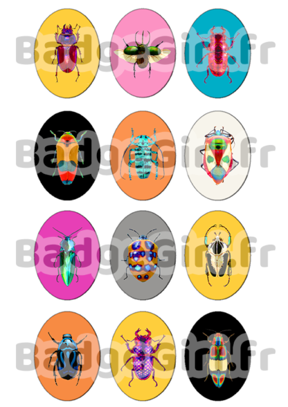 image images planche badge cabochon imprimer insecte insectes coléoptères coléoptere